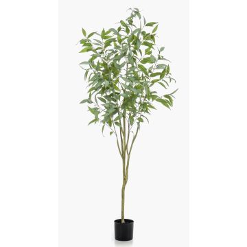 Künstlicher Eukalyptus Baum ILONKA, Kunststamm, grün, 195cm