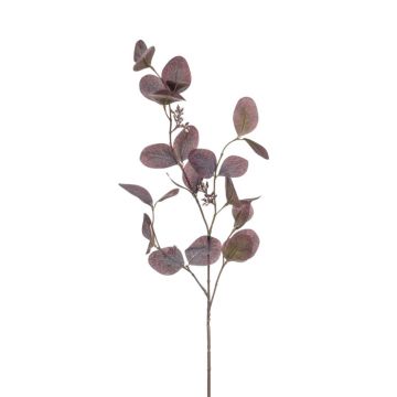 Kunstzweig Eukalyptus MAXEN mit Früchten, violett-grau, 75cm
