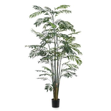 Große künstliche Palme Bambuspalme MERIEL, 245cm
