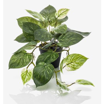 Künstliche Pflanze Gefleckte Efeutute TREVA, grün-weiß, 55cm