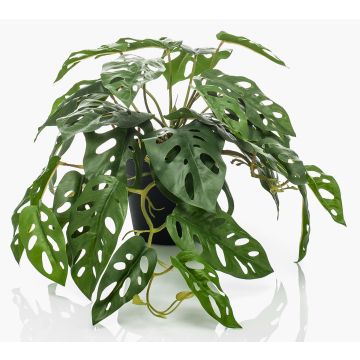 Kunstpflanze Philodendron Monstera adansonii TREVYN, 55cm