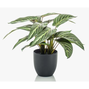 Künstliche Zimmerpflanze Calathea Zebrina VAIDA im Dekotopf, grün-weiß, 40cm