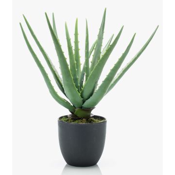 Künstliche Aloe Vera EVELIO im Dekotopf, 35cm