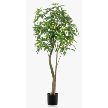 Baum künstlich Glückskastanie HARUKI, Kunststämme, 180cm