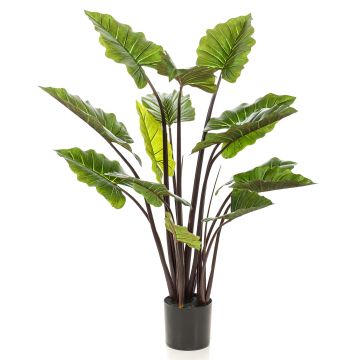 Fake Pflanze Elefantenohr KANAYE, grün, 130cm