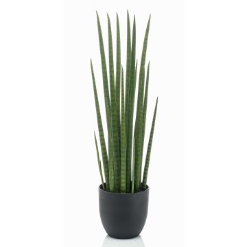 Sansevieria Cylindrica Kunstpflanze KICHIRO im Dekotopf, grün, 70cm