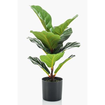 Ficus Lyrata künstlich EMILIANA, grün, 55cm