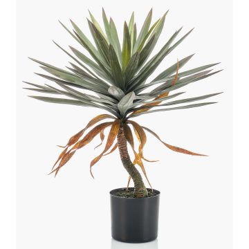Künstliche Yucca elephantipes KOUKI, 75cm
