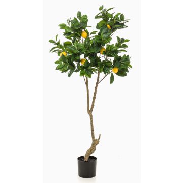 Künstlicher Zitronenbaum MAKOTO, Kunststamm, mit Früchten, 150cm