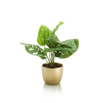 Künstlicher Philodendron Monstera adansonii PUYA, Keramiktopf gold, 30cm