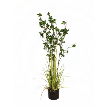 Kunstgras Spindelstrauch BASKO, 120cm Kunstgras Spindelstrauch BASKO, 120cm