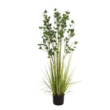 Kunstgras Spindelstrauch BASKO, 150cm Kunstgras Spindelstrauch BASKO, 150cm