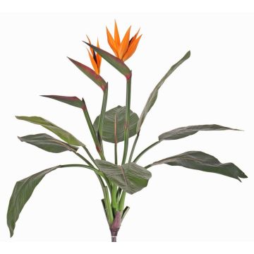 Strelitzie Kunstpflanze NUBIA auf Steckstab, orange-violett, 70cm, 17x22cm Strelitzie Kunstpflanze NUBIA auf Steckstab, orange-violett, 70cm, 17x22cm
