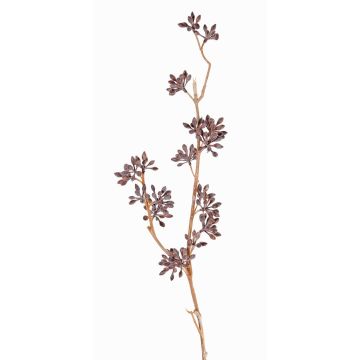 Plastik Eucalyptuszweig SOHA mit Früchten, braun, 60cm Plastik Eucalyptuszweig SOHA mit Früchten, braun, 60cm