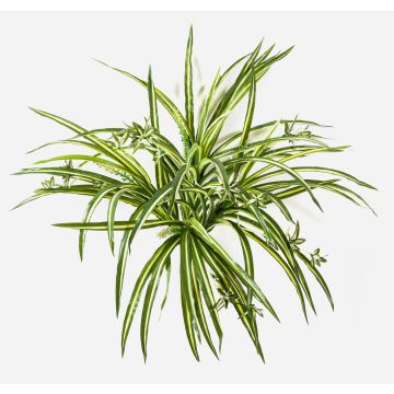 Kunstpflanze Grünlilie KOCHAB, auf Steckstab, grün-gelb, 55cm