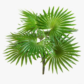 Kunst Washingtonia Palme SCHEDIR auf Steckstab, 35cm