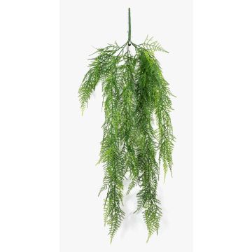 Kunstpflanze Asparagus Plumosus Hänger ALRISCHA, Steckstab, 75cm