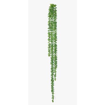 Künstliche Erbsenpflanze Senecio Hänger ARNEB auf Steckstab, grün, 90cm