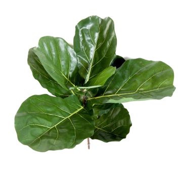 Kunstpflanze Ficus Lyrata ATIKA auf Steckstab, grün, 60cm Kunstpflanze Ficus Lyrata ATIKA auf Steckstab, grün, 60cm