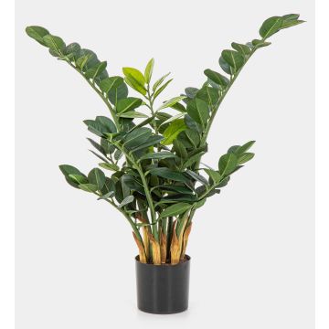 Kunstpflanze Zamioculcas Zamiifolia AKONO, 65cm Kunstpflanze Zamioculcas Zamiifolia AKONO, 65cm