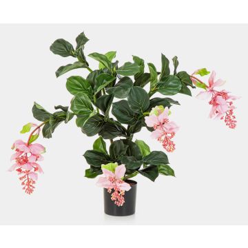 Künstliche Medinilla ALDORA, rosa, 75cm