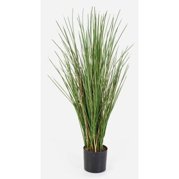 Deko Fuchsschwansgras ALEGRIA, schwer brennbar, grün-braun, 80cm