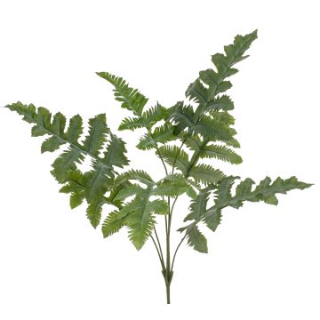 Kunstpflanze Farn Goldtüpfelfarn EYMEN auf Steckstab, grün, 65cm Kunstpflanze Farn Goldtüpfelfarn EYMEN auf Steckstab, grün, 65cm