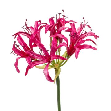 Deko Kunstblume Gartenamaryllis BAIMAI, pink, 75cm, Ø19cm Deko Kunstblume Gartenamaryllis BAIMAI, pink, 75cm, Ø19cm