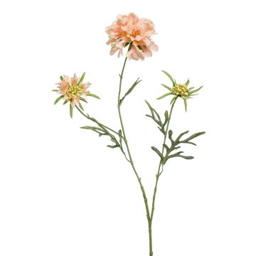 Deko Zweig Scabiosa MARUA, pfirsich, 80cm