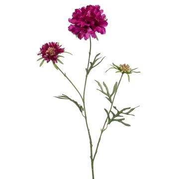 Deko Zweig Scabiosa MARUA, violett, 80cm