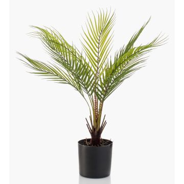 Kunst Bergpalme AIKU, 50cm