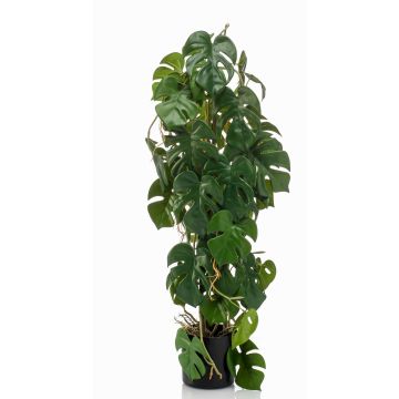 Dekopflanze Philodendron Monstera Deliciosa RONGPU, 75cm
