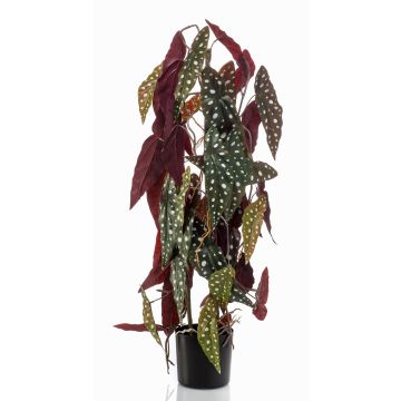 Fakepflanze Forellenbegonie MICHIKO, grün-weiß, 75cm