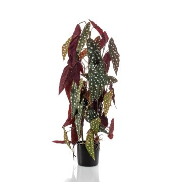 Fakepflanze Forellenbegonie MICHIKO, grün-weiß, 75cm