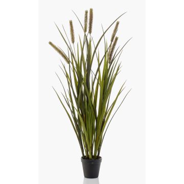 Künstliches Schilfgras ZWENA mit Rispen, grün-gelb, 85cm Künstliches Schilfgras ZWENA mit Rispen, grün-gelb, 85cm