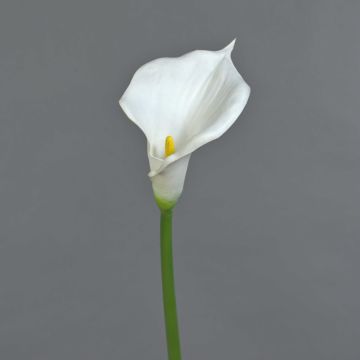 Künstliche Calla DAISCHI, weiß, 70cm, 11x14cm