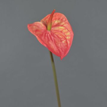 Flamingoblüte künstlich YUSEI, koralle, 65cm, 13,5x16cm
