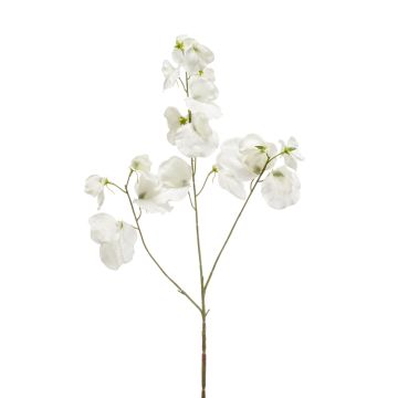 Künstliche Blume Duftwicke KANZI, weiß, 75cm, Ø4-7cm Künstliche Blume Duftwicke KANZI, weiß, 75cm, Ø4-7cm