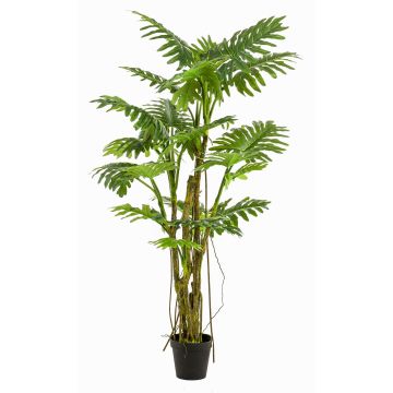 Kunstpflanze Philodendron Selloum EDHEM, 195cm