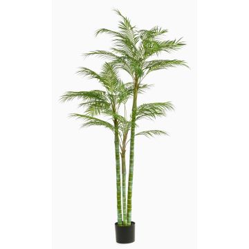 Künstliche große Areca Palme AKANE, 200cm