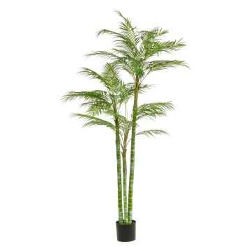 Künstliche große Areca Palme AKANE, 200cm Künstliche große Areca Palme AKANE, 200cm