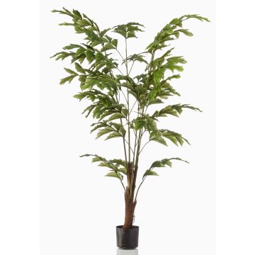 Künstliche Fischschwanzpalme AIDING, 155cm