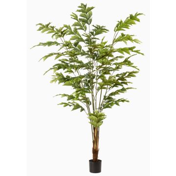 Künstliche Fischschwanzpalme AIDING, 195cm