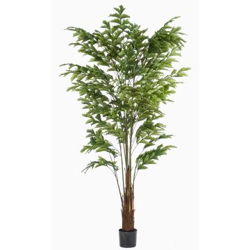 Künstliche Fischschwanzpalme AIDING, 225cm