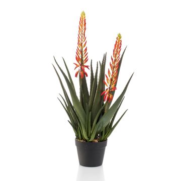 Kunstpflanze Aloe Vera SUSUMI mit Blüten, Dekotopf, orange-grün, 80cm