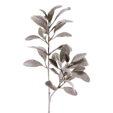 Unechter Zweig Wollziest VEVEY, grau-grün, 70cm