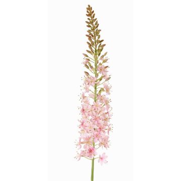 Große Kunstblume Steppenkerze SELINA, hellrosa, 105cm, Ø9cm
