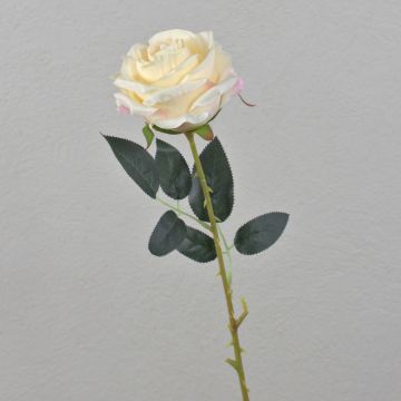 Künstliche Rose ELEAZAR, creme, 65cm, Ø9cm Künstliche Rose ELEAZAR, creme, 65cm, Ø9cm