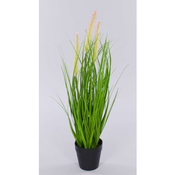 Unechtes Lampenputzergras UBON mit Rispen, Dekotopf, grün, 50cm Unechtes Lampenputzergras UBON mit Rispen, Dekotopf, grün, 50cm