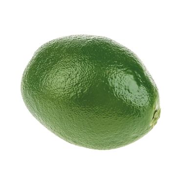 Deko Limette SITUNI, grün, 8,5cm, Ø6cm